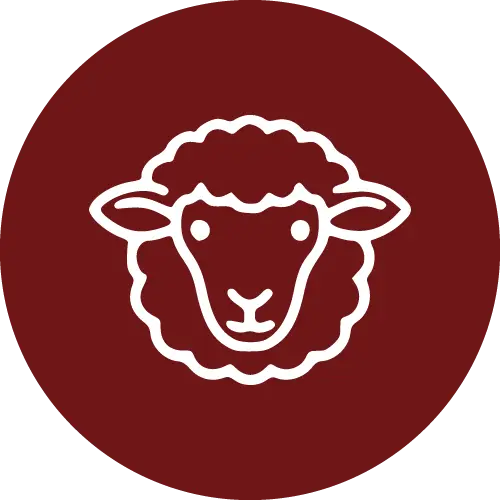 Regionalität